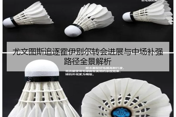 尤文图斯追逐霍伊别尔转会进展与中场补强路径全景解析
